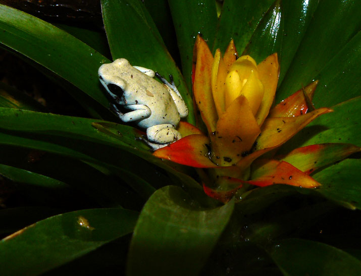 P1070885.jpg