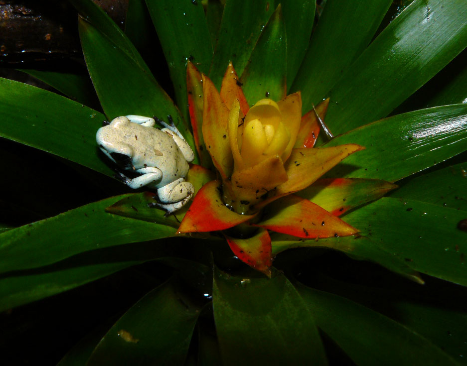 P1070887.jpg